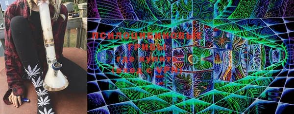 бошки Покачи