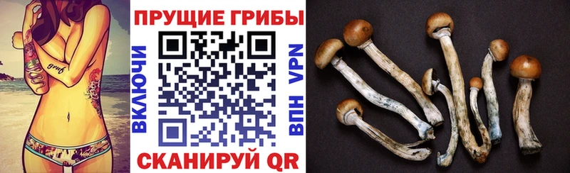 Псилоцибиновые грибы мухоморы  закладка  Фрязино 